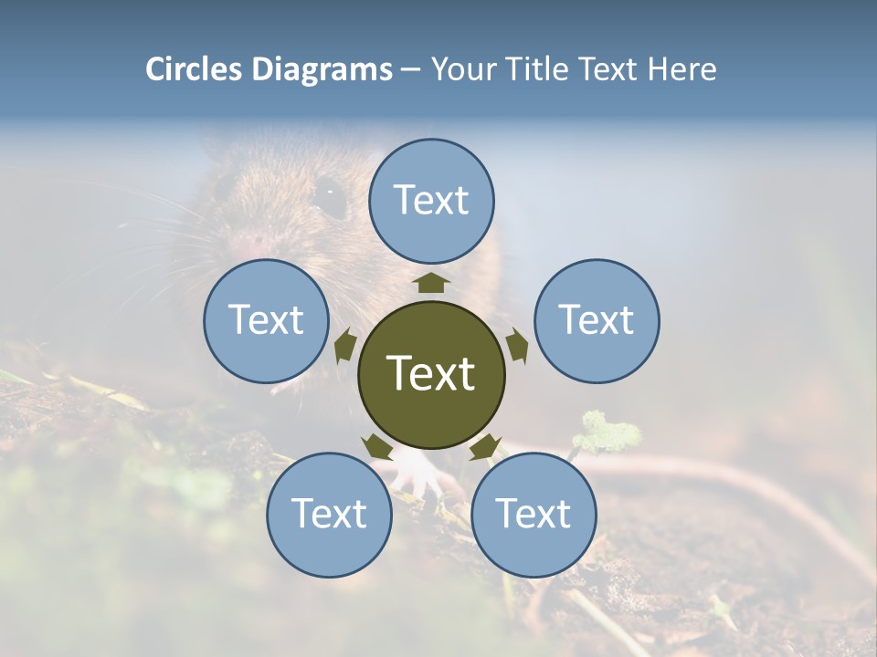 Fauna Closeup Animal PowerPoint Template