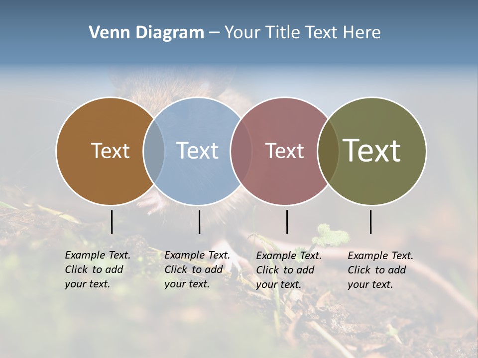 Fauna Closeup Animal PowerPoint Template