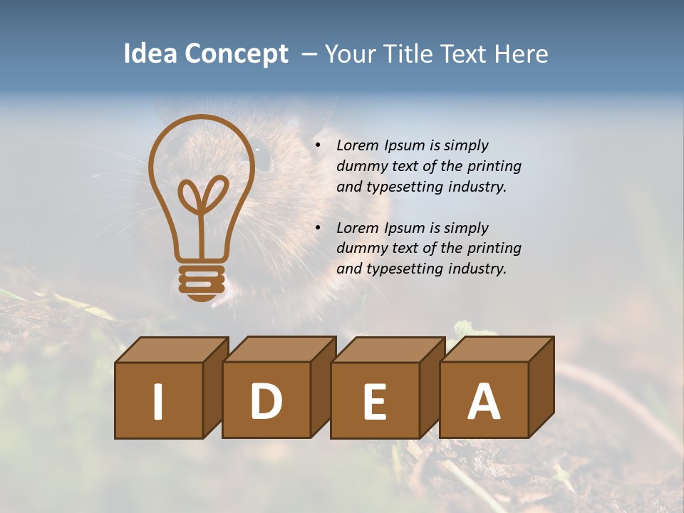 Fauna Closeup Animal PowerPoint Template