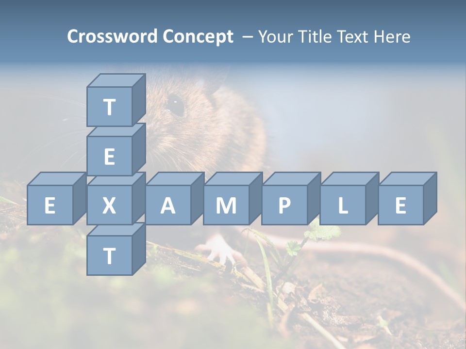 Fauna Closeup Animal PowerPoint Template