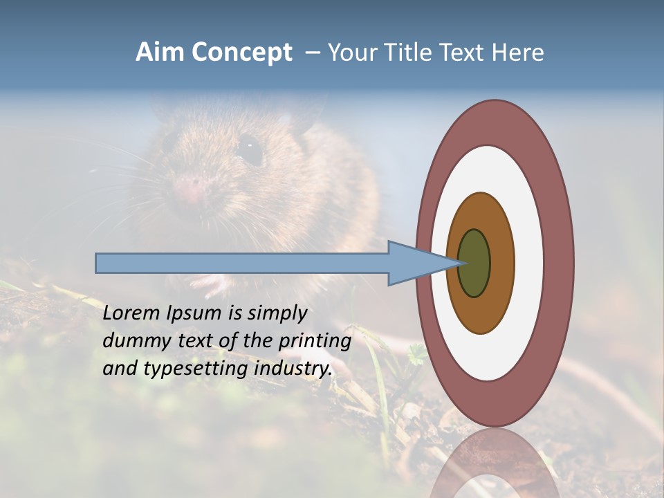 Fauna Closeup Animal PowerPoint Template