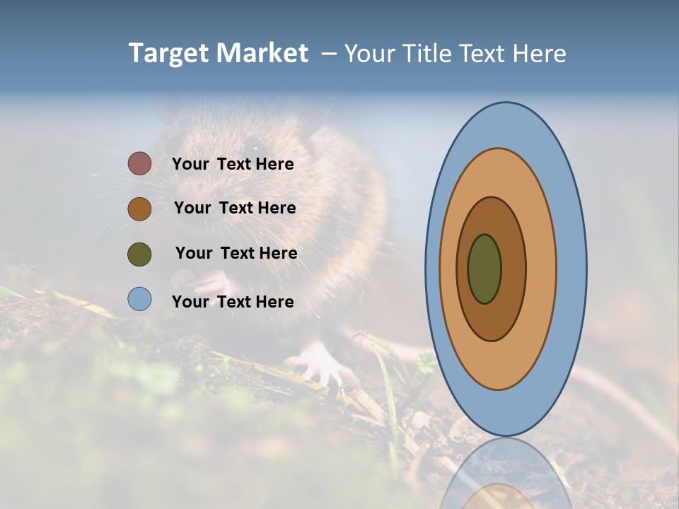 Fauna Closeup Animal PowerPoint Template