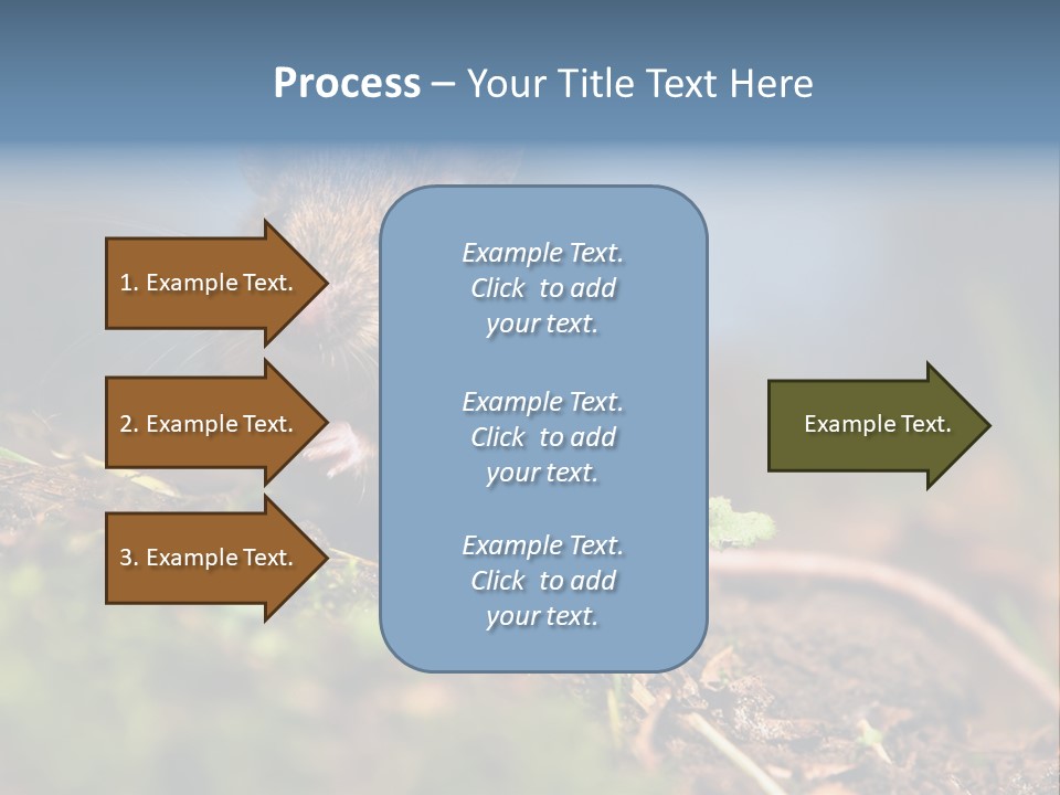 Fauna Closeup Animal PowerPoint Template