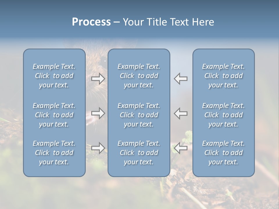 Fauna Closeup Animal PowerPoint Template