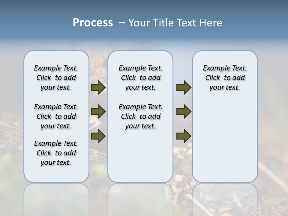 Fauna Closeup Animal PowerPoint Template