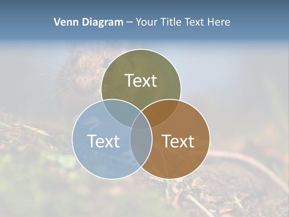 Fauna Closeup Animal PowerPoint Template