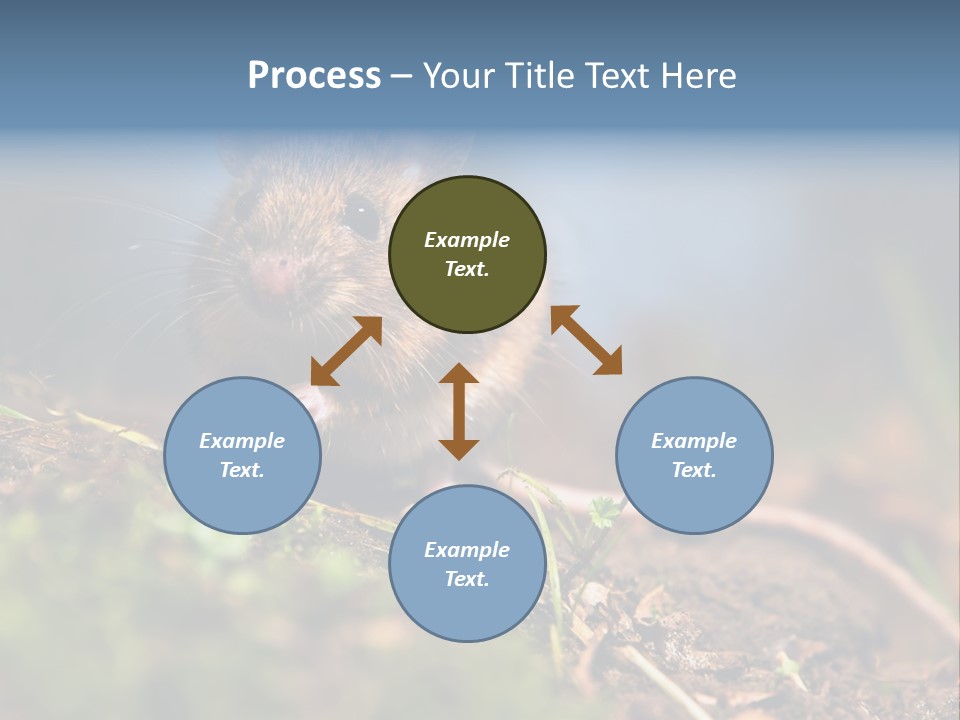 Fauna Closeup Animal PowerPoint Template