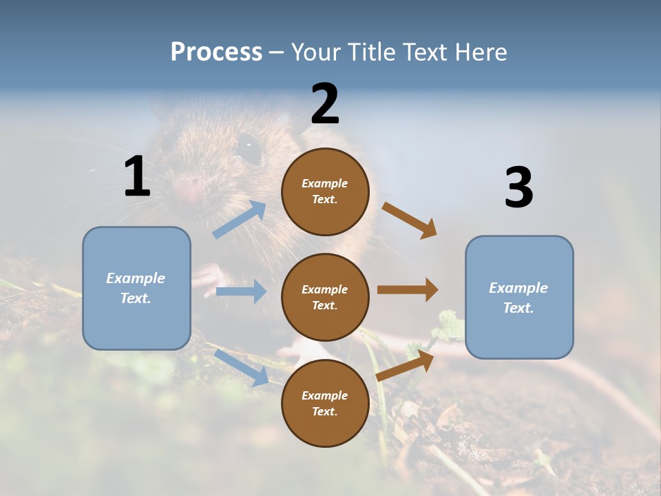 Fauna Closeup Animal PowerPoint Template