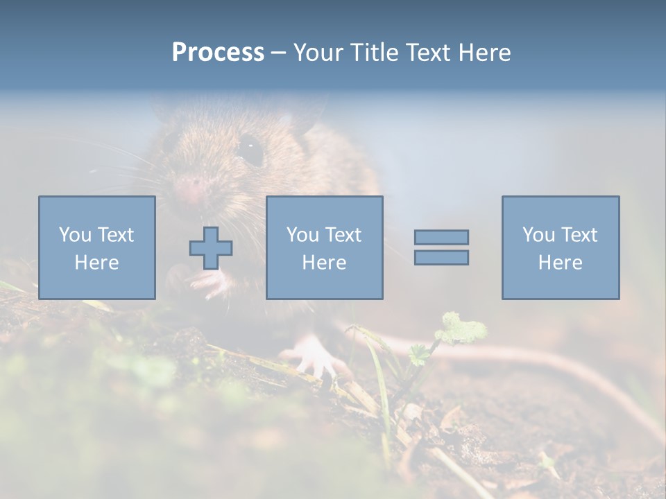 Fauna Closeup Animal PowerPoint Template
