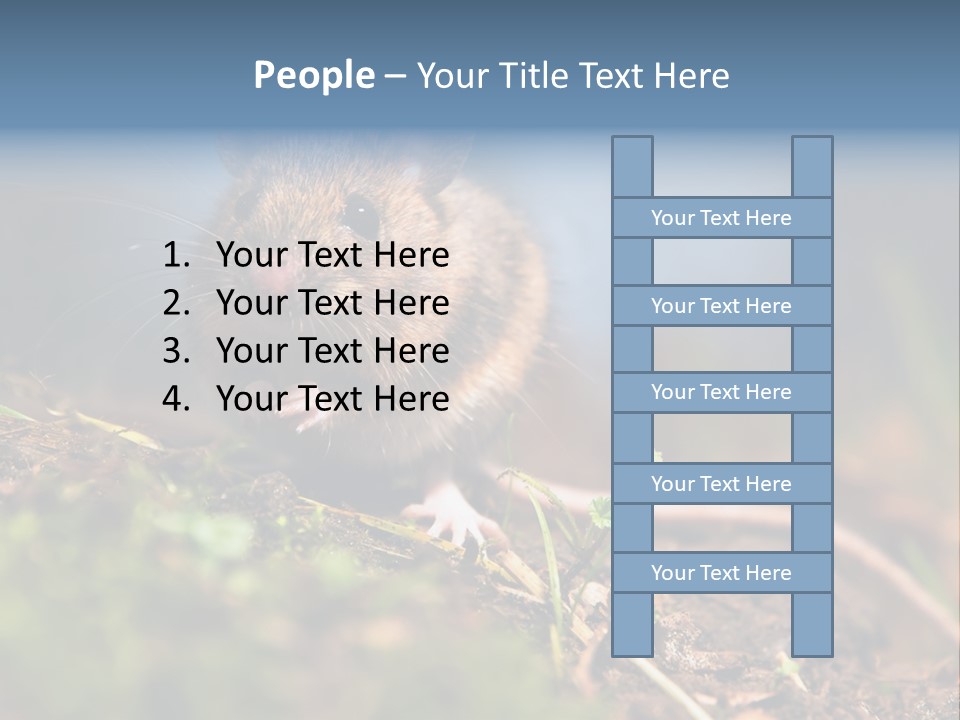 Fauna Closeup Animal PowerPoint Template