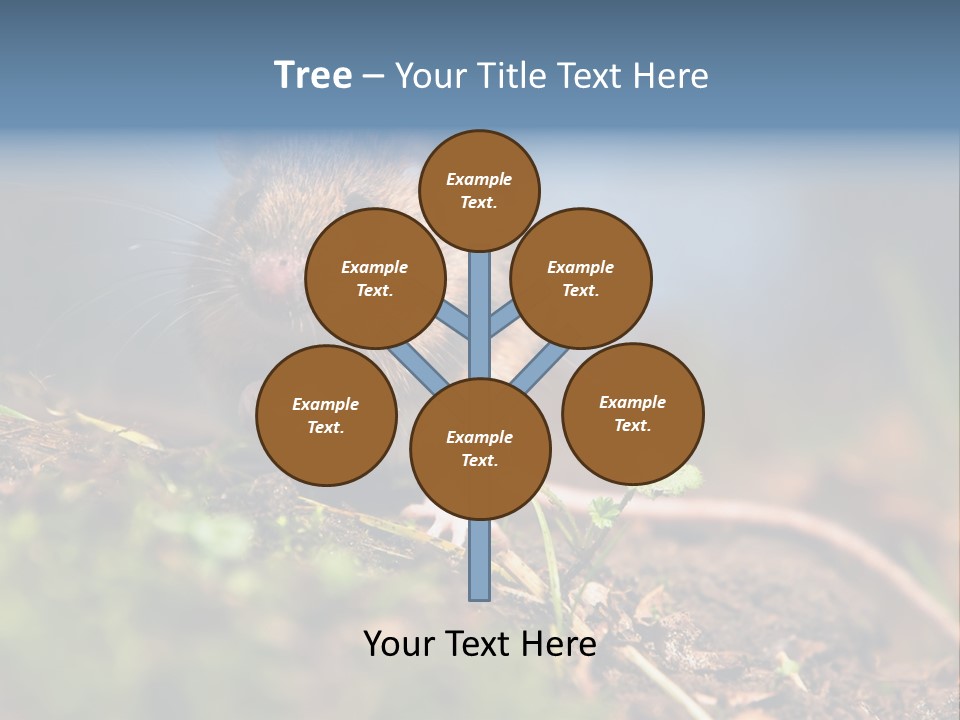 Fauna Closeup Animal PowerPoint Template