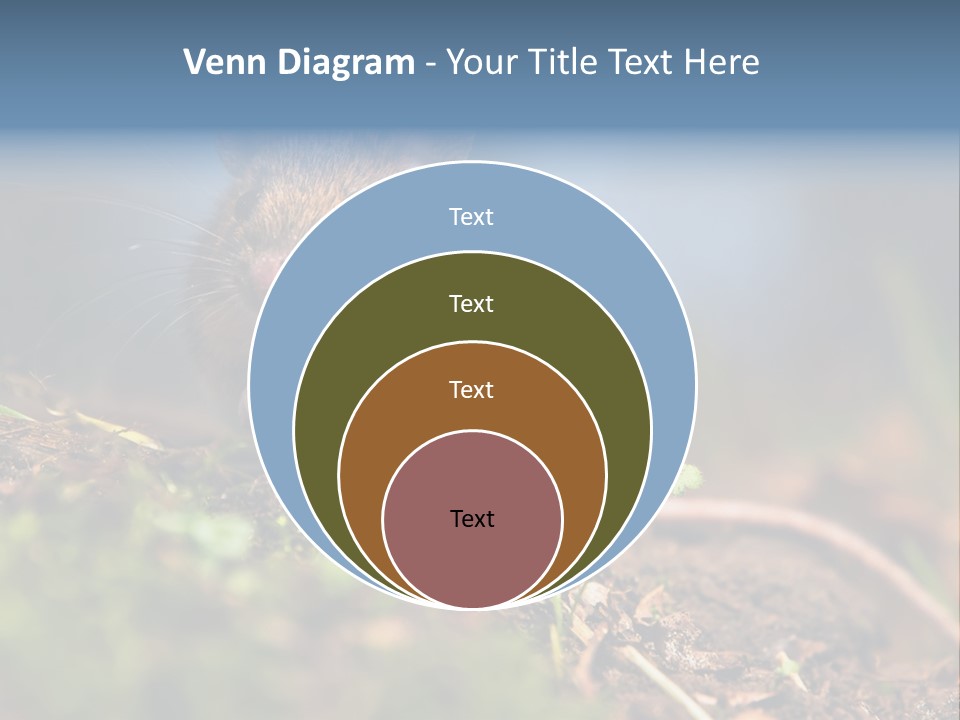 Fauna Closeup Animal PowerPoint Template