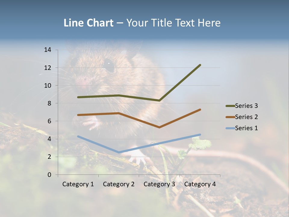 Fauna Closeup Animal PowerPoint Template