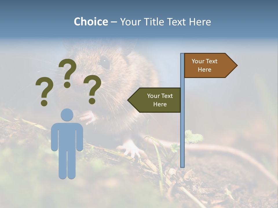 Fauna Closeup Animal PowerPoint Template