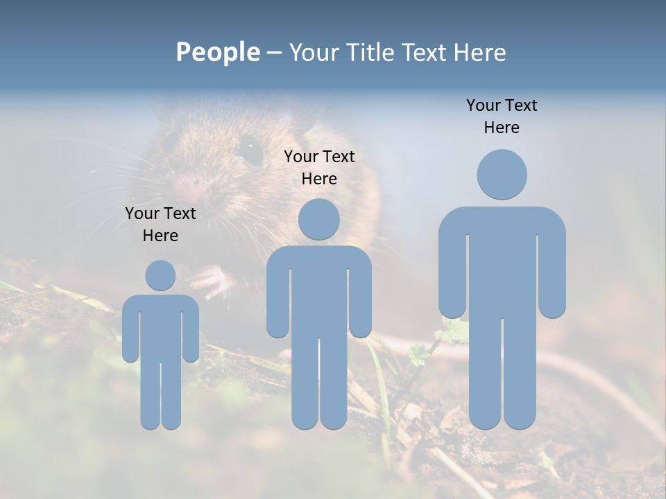 Fauna Closeup Animal PowerPoint Template