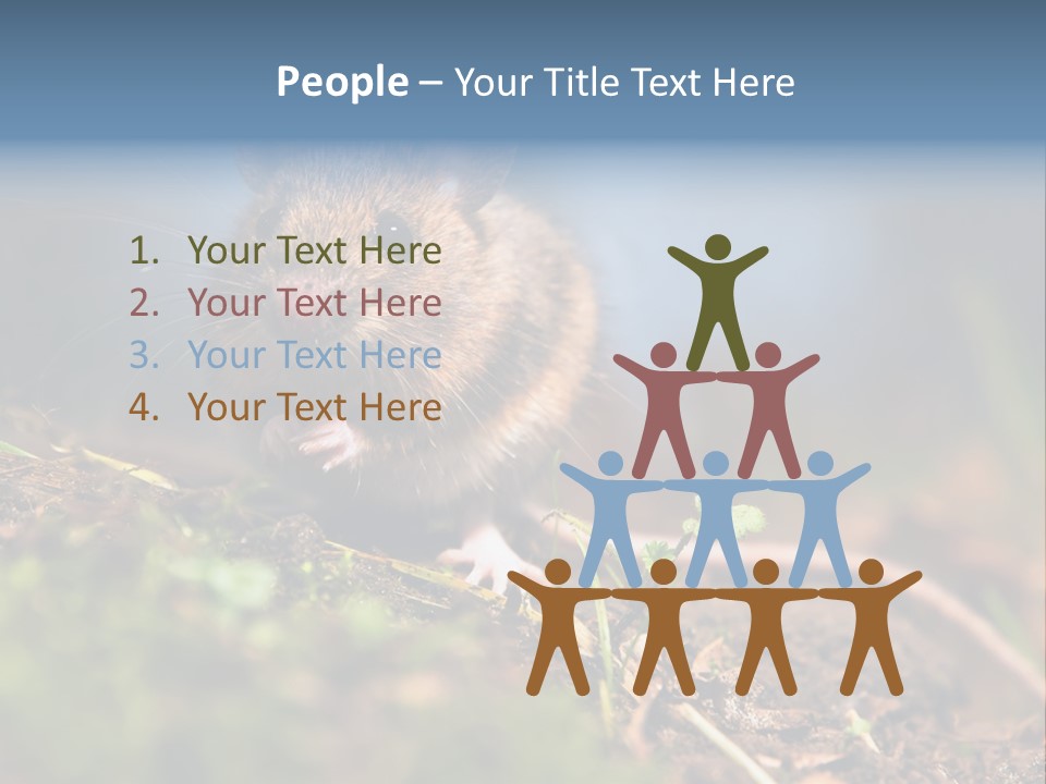 Fauna Closeup Animal PowerPoint Template