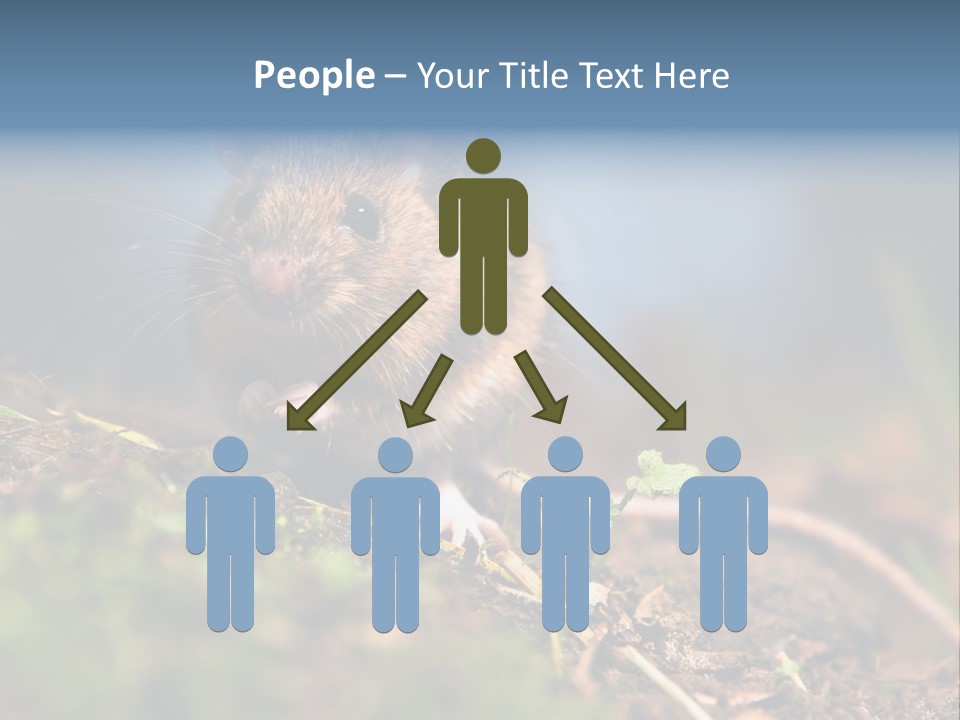 Fauna Closeup Animal PowerPoint Template