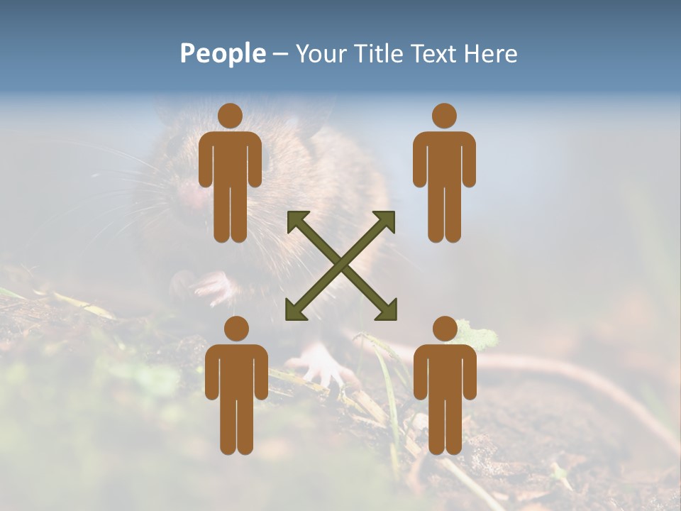 Fauna Closeup Animal PowerPoint Template