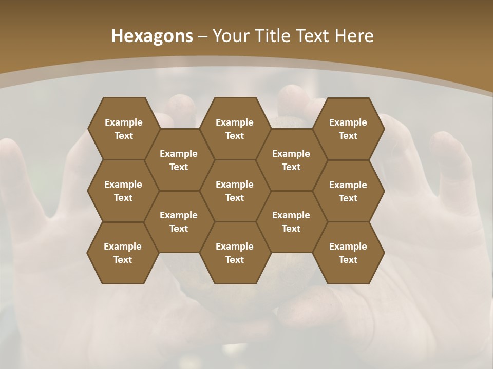 Heart Shape Potato Heart PowerPoint Template