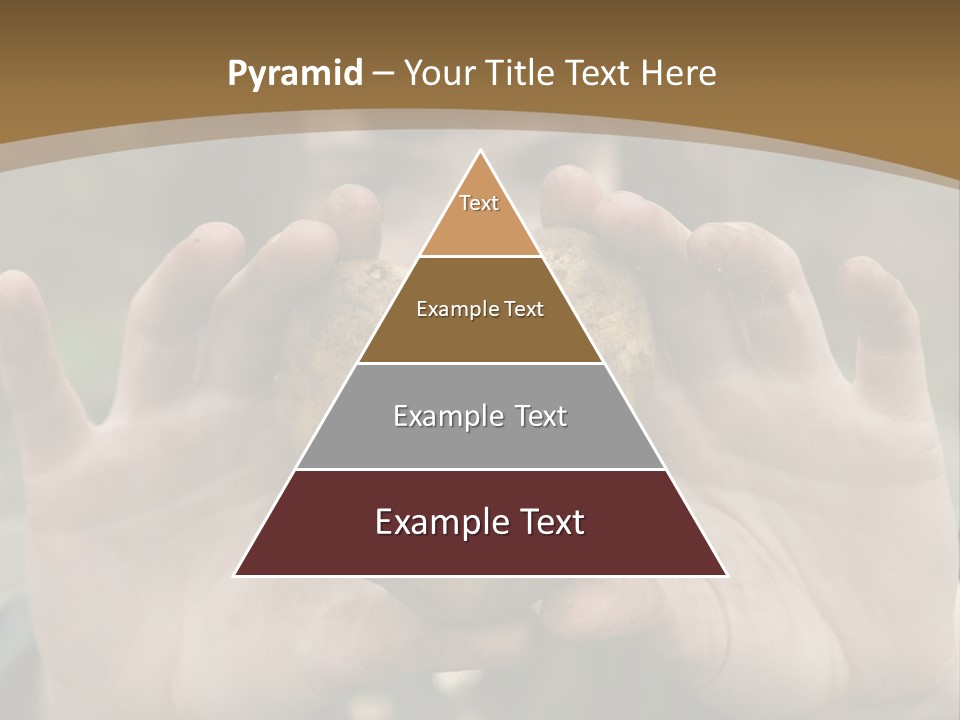 Heart Shape Potato Heart PowerPoint Template