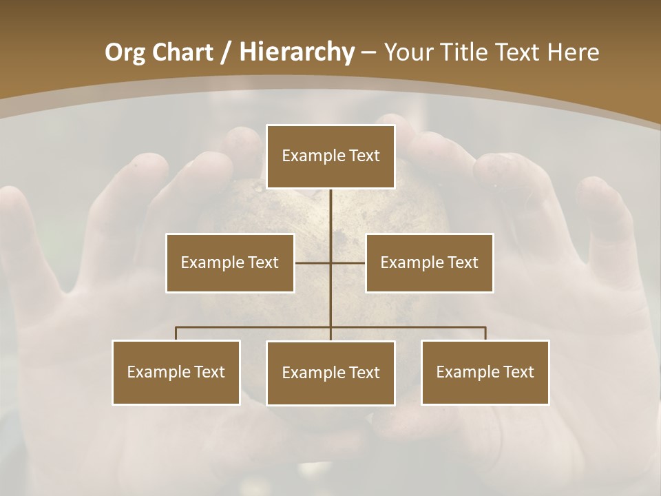 Heart Shape Potato Heart PowerPoint Template