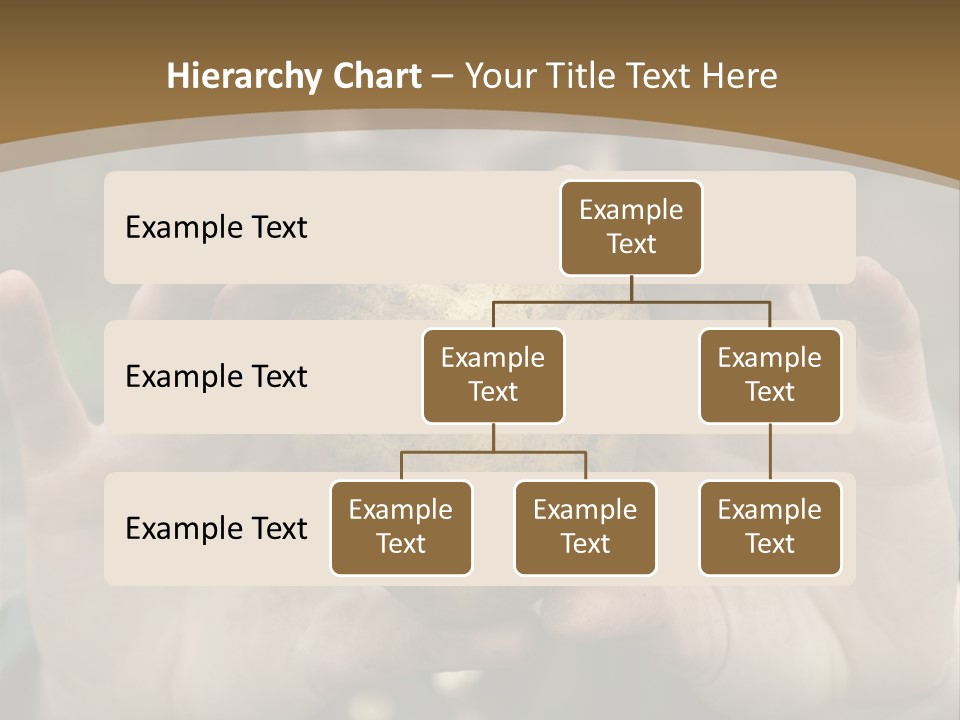 Heart Shape Potato Heart PowerPoint Template