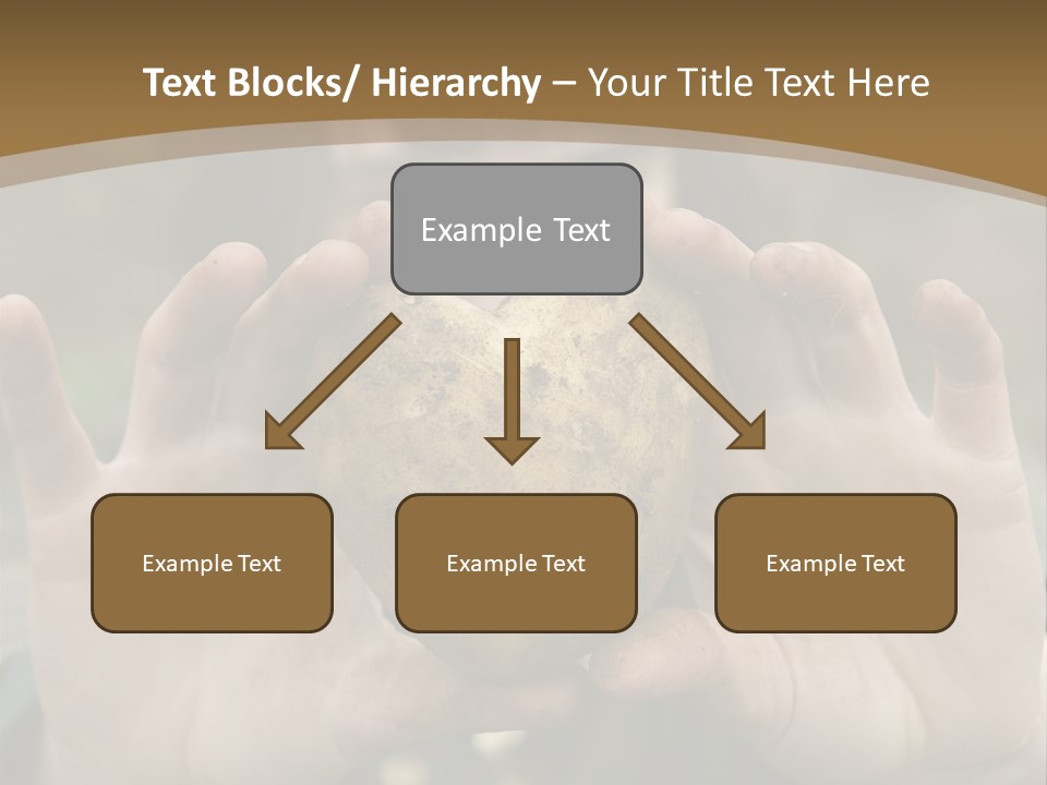 Heart Shape Potato Heart PowerPoint Template