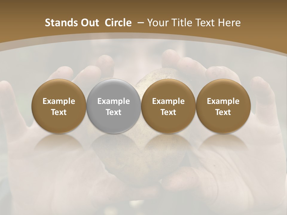 Heart Shape Potato Heart PowerPoint Template