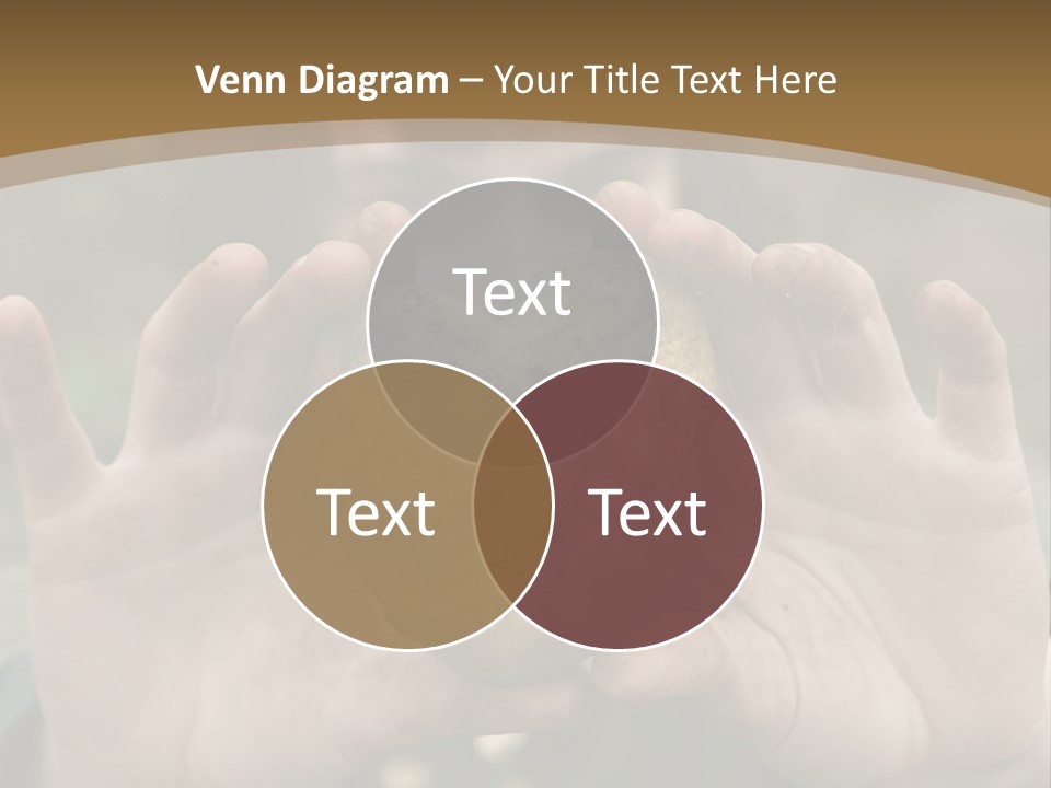 Heart Shape Potato Heart PowerPoint Template