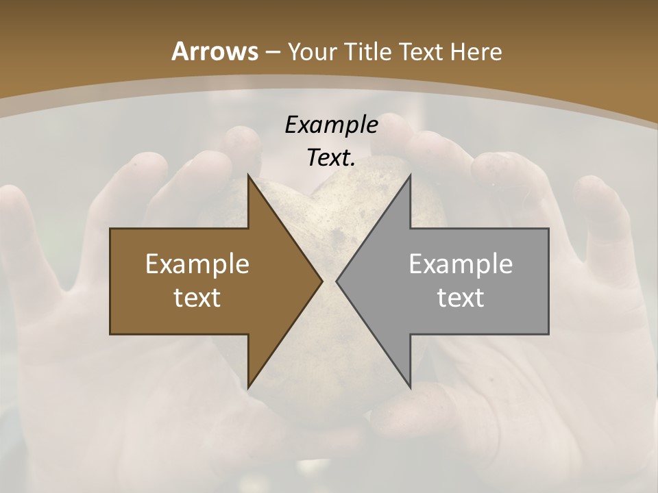 Heart Shape Potato Heart PowerPoint Template