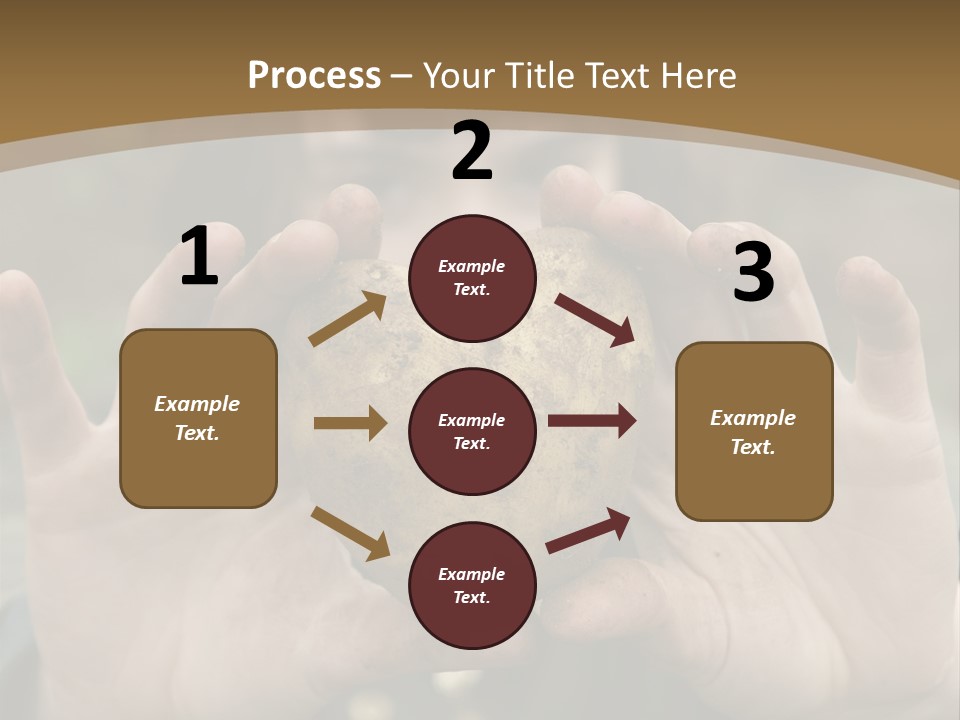Heart Shape Potato Heart PowerPoint Template
