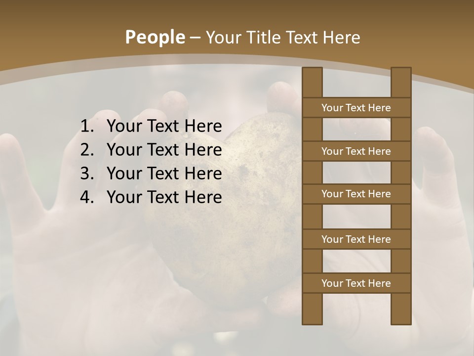 Heart Shape Potato Heart PowerPoint Template