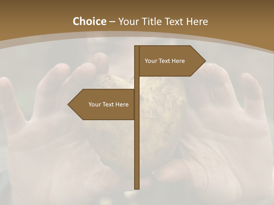 Heart Shape Potato Heart PowerPoint Template