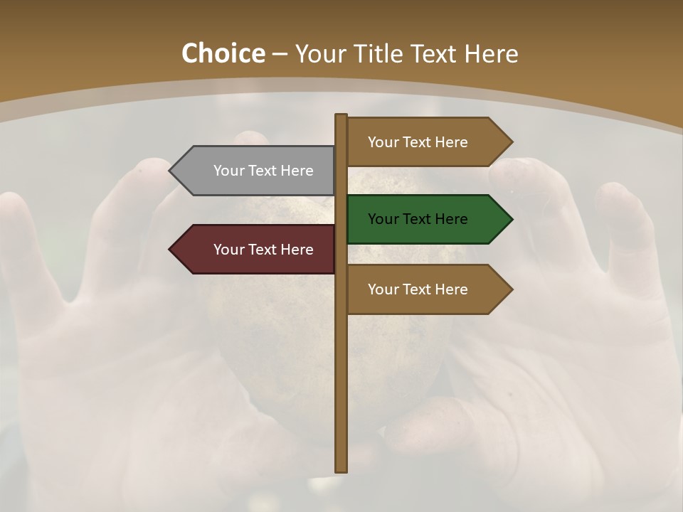 Heart Shape Potato Heart PowerPoint Template