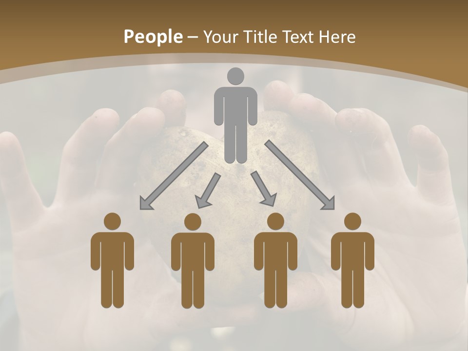 Heart Shape Potato Heart PowerPoint Template