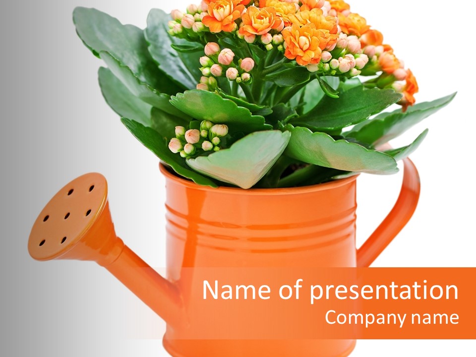 Studio Blooming Easter PowerPoint Template