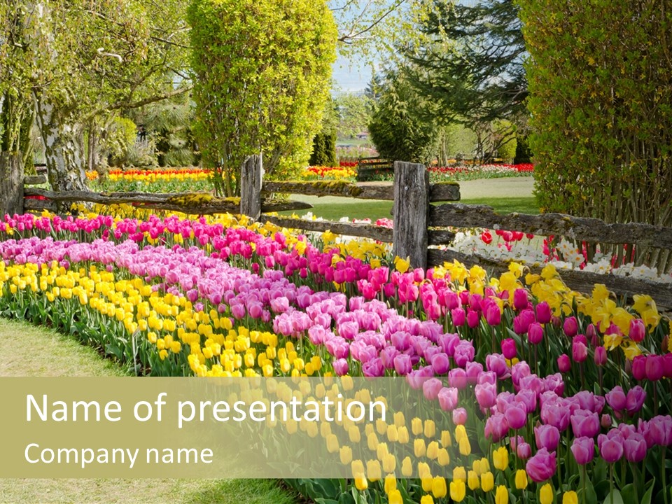 Floral Bloom Yellow PowerPoint Template