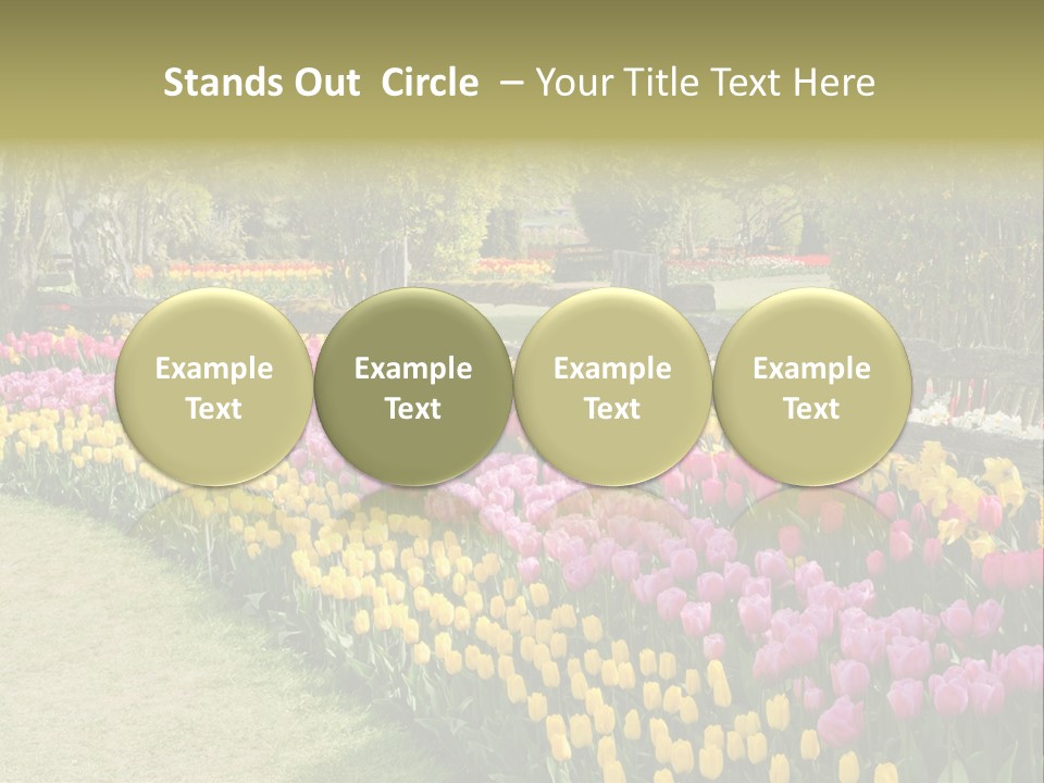 Floral Bloom Yellow PowerPoint Template