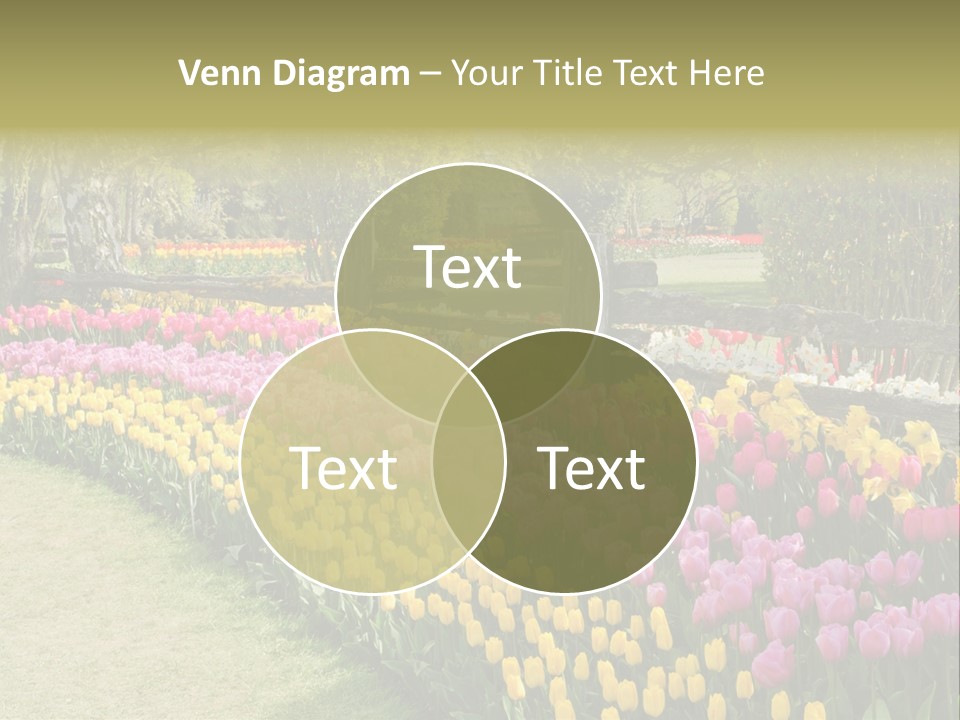 Floral Bloom Yellow PowerPoint Template