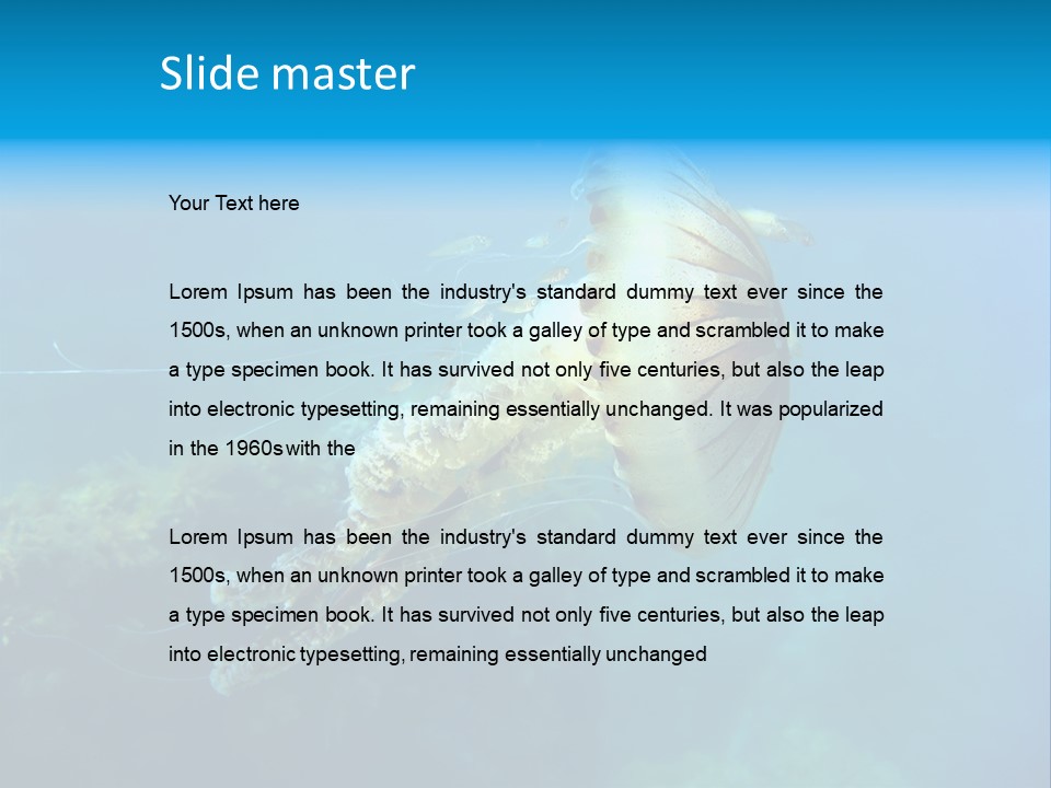 Chrysaora Hysoscella Toxic Poisonous PowerPoint Template