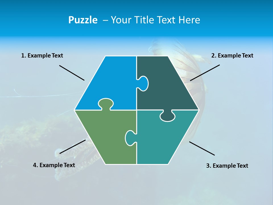 Chrysaora Hysoscella Toxic Poisonous PowerPoint Template