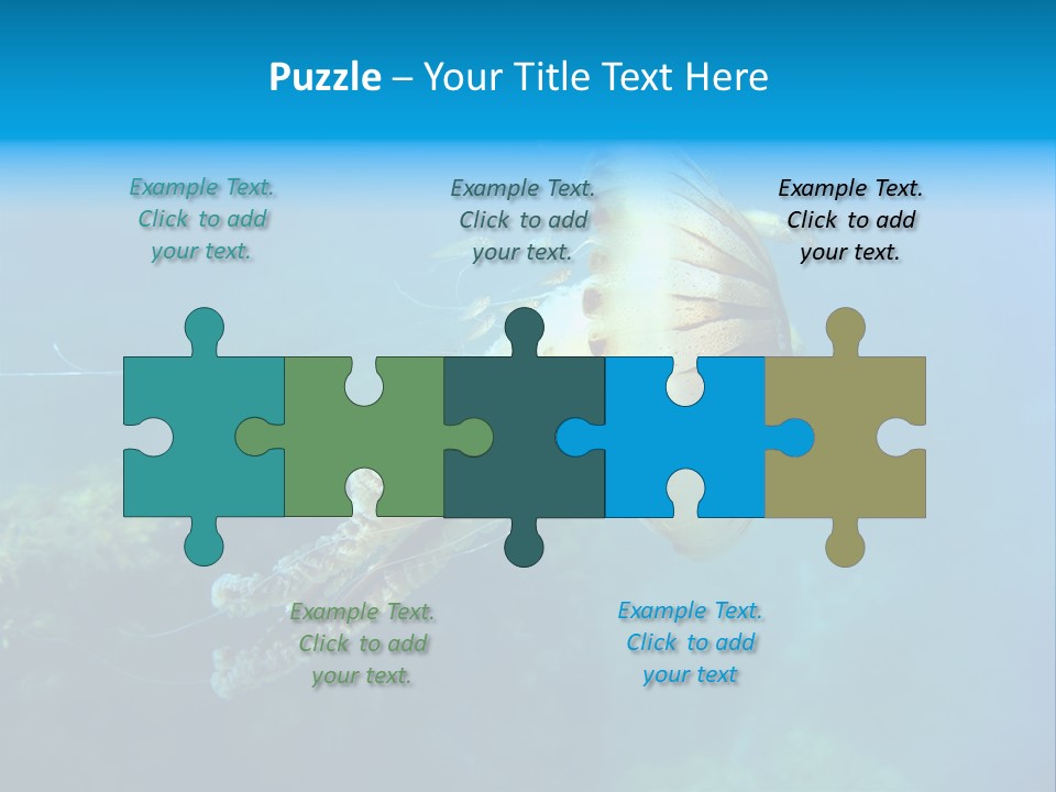 Chrysaora Hysoscella Toxic Poisonous PowerPoint Template