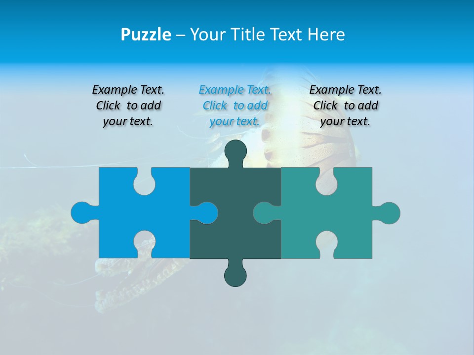 Chrysaora Hysoscella Toxic Poisonous PowerPoint Template