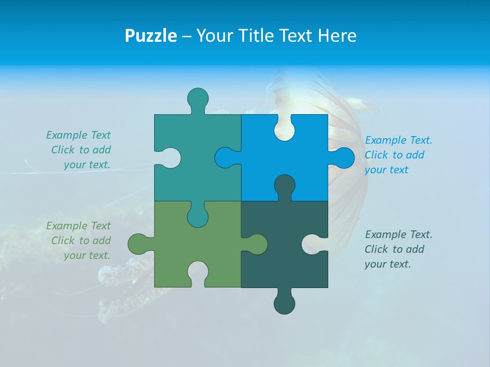 Chrysaora Hysoscella Toxic Poisonous PowerPoint Template