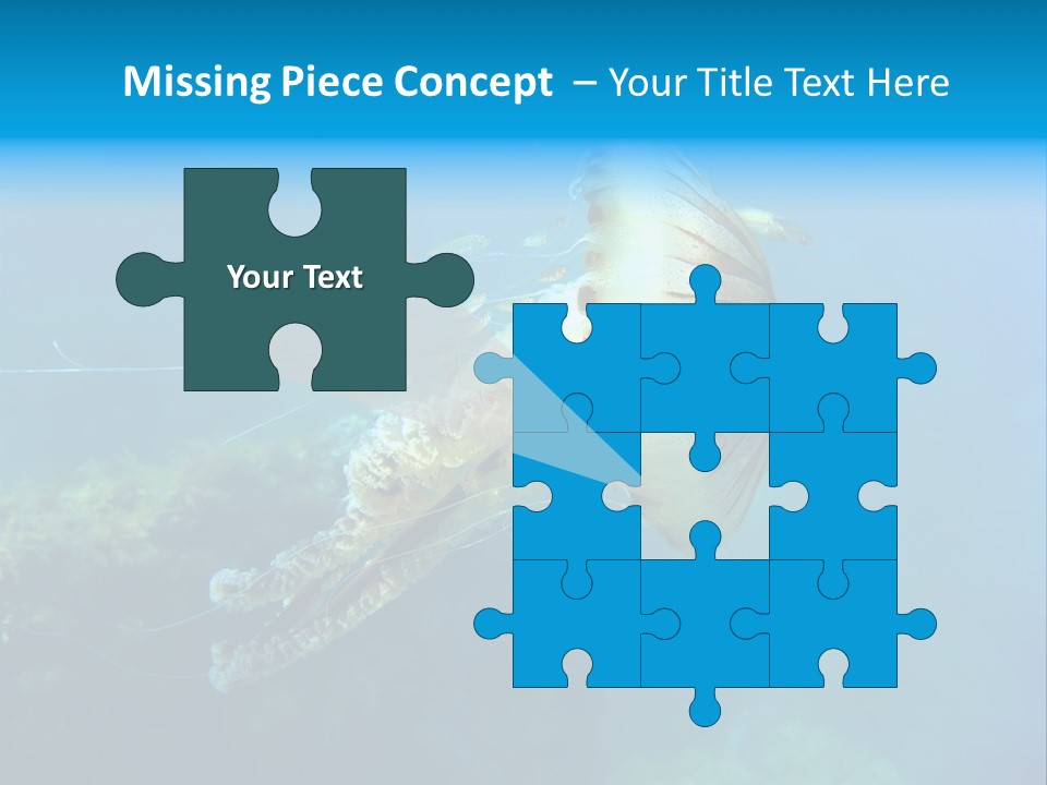 Chrysaora Hysoscella Toxic Poisonous PowerPoint Template