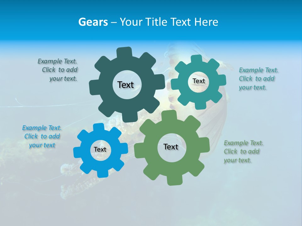 Chrysaora Hysoscella Toxic Poisonous PowerPoint Template