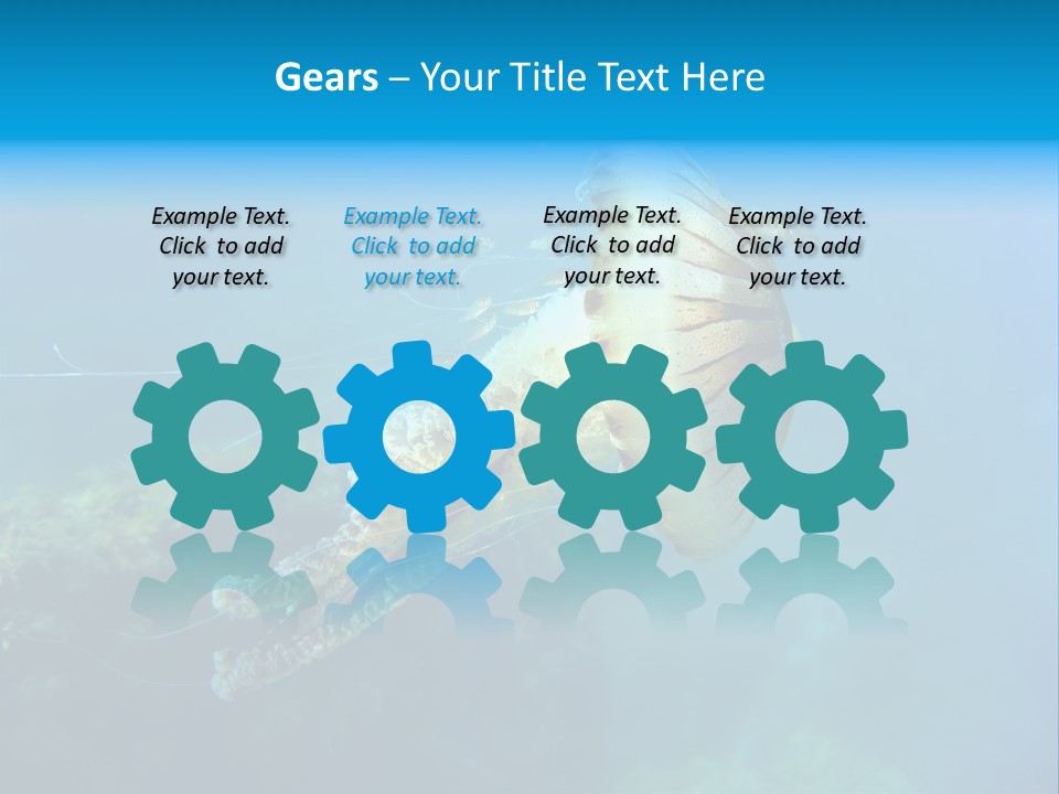 Chrysaora Hysoscella Toxic Poisonous PowerPoint Template