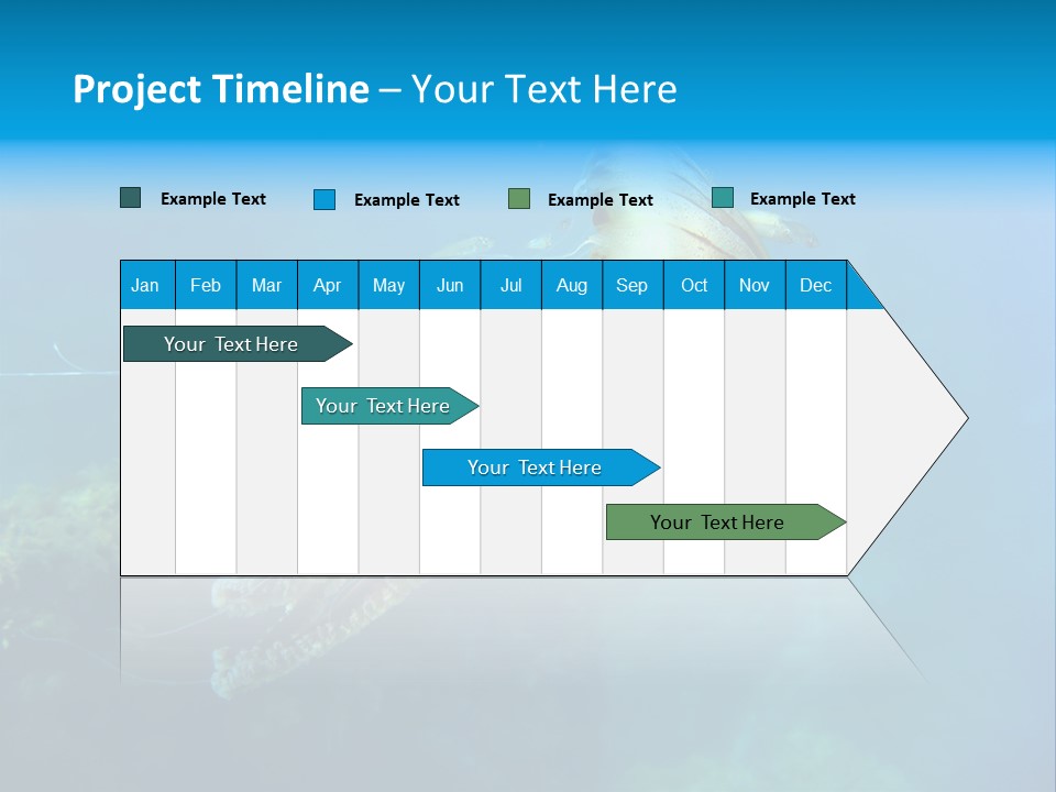 Chrysaora Hysoscella Toxic Poisonous PowerPoint Template