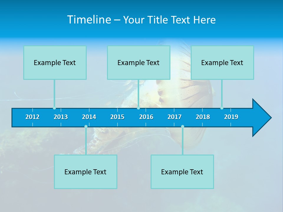 Chrysaora Hysoscella Toxic Poisonous PowerPoint Template