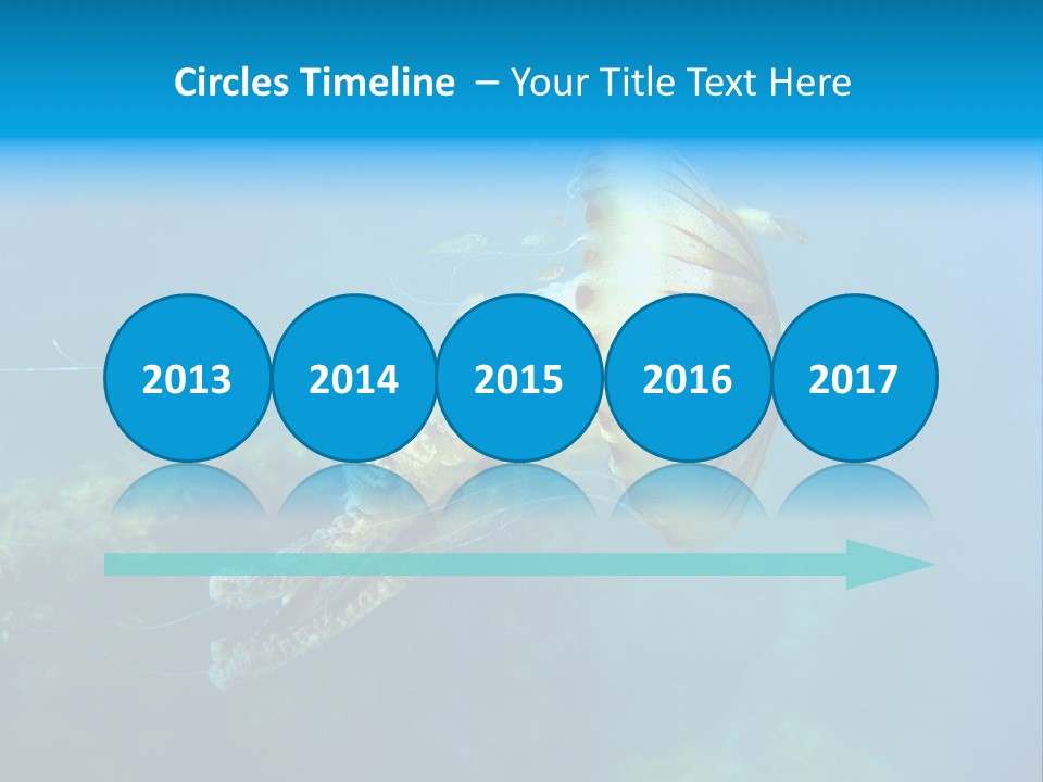 Chrysaora Hysoscella Toxic Poisonous PowerPoint Template